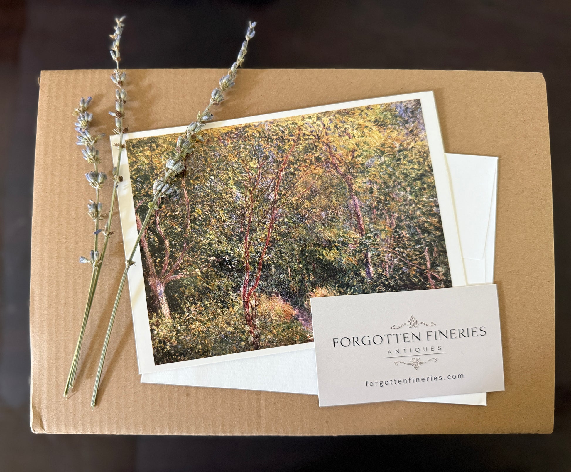 Antique, Vintage, Mystery, Mystery Box, Mystery Package, Surprise, Grab Bag