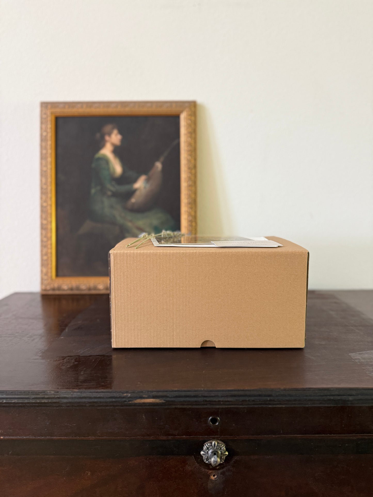 Antique, Vintage, Mystery, Mystery Box, Mystery Package, Surprise, Grab Bag