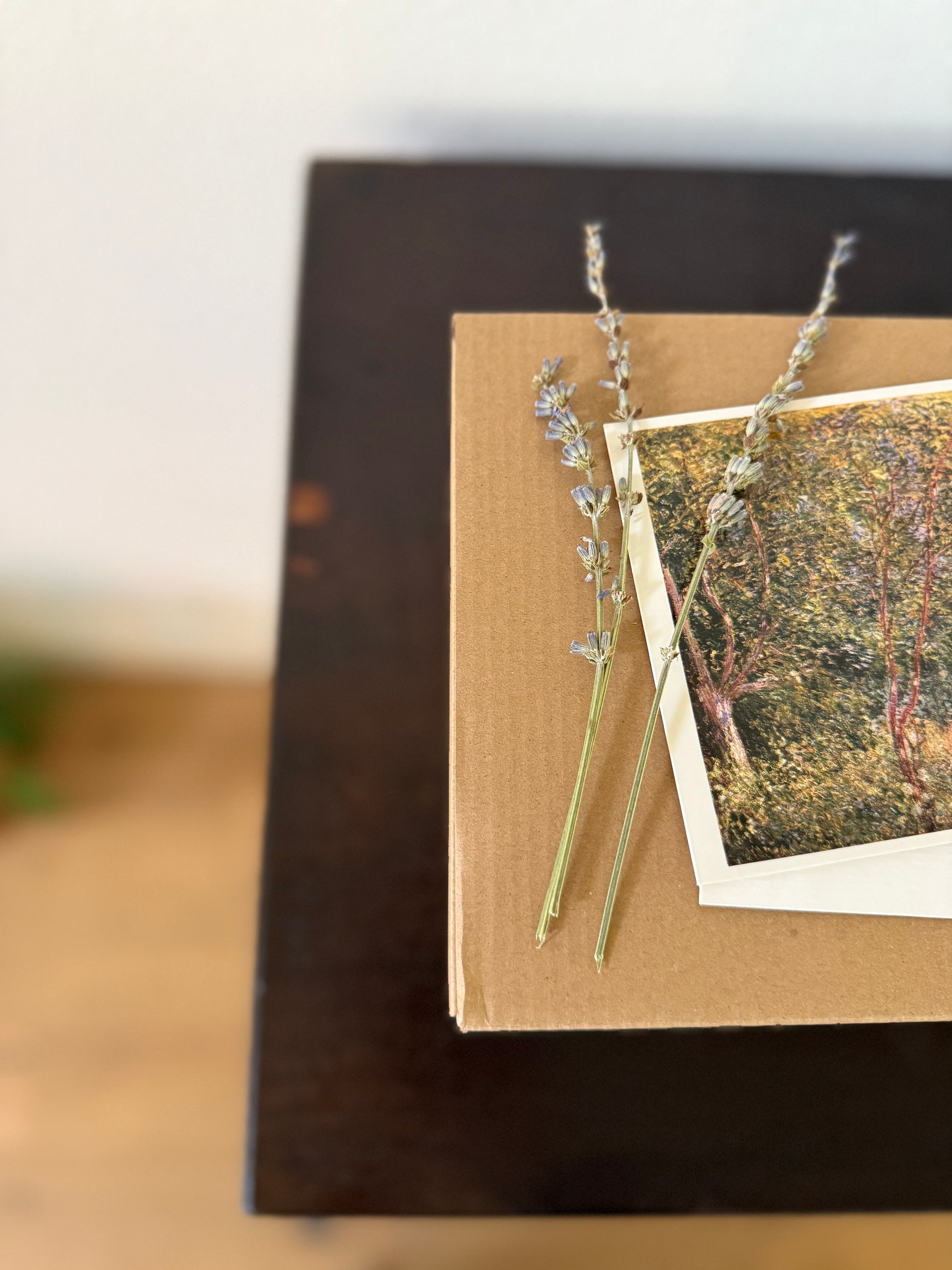 Antique, Vintage, Mystery, Mystery Box, Mystery Package, Surprise, Grab Bag